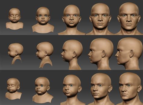 Image result for Aging Process Animation