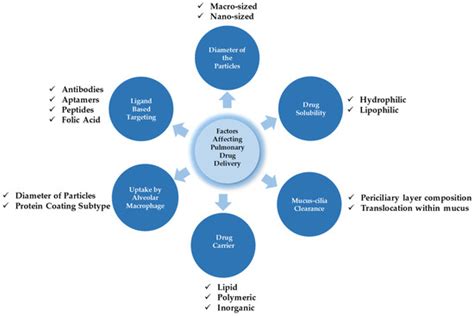 Antioxidants | August 2025 - Browse Articles