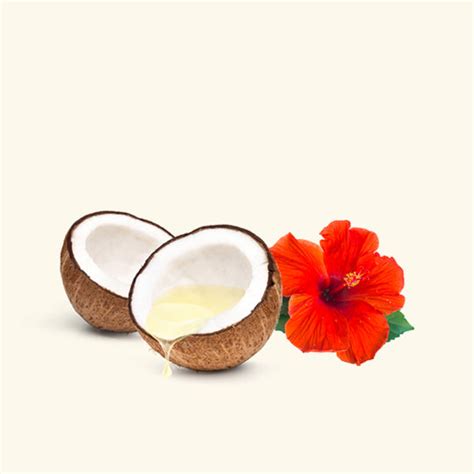 Buy Coconut Hibiscus Massage Oil Online | Coconut Hibiscus Body Oil ...