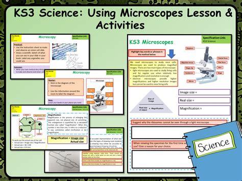 Microscopes GCSE Free Science Lessons 的图像结果