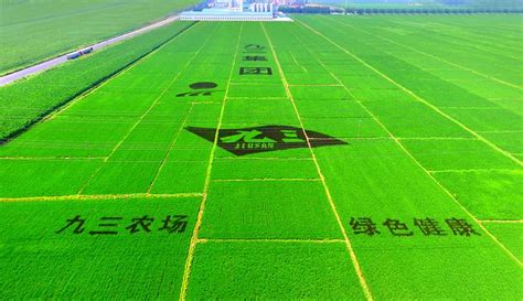 九三大豆品牌建设路径初探-企业新闻-行业资讯 中国豆制品网