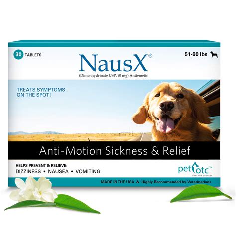 How To Help Dogs With Car Sickness