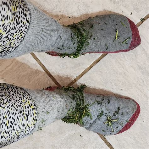 Macey Estrella | Get hit head on. Or jump in the pond.🤔🥴😅😅😅😅😅😅 🦬 I can't wait to eat this Ahole ...