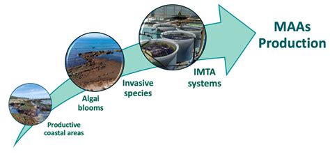 Mycosporine-Like Amino Acids from Red Macroalgae: UV-Photoprotectors ...
