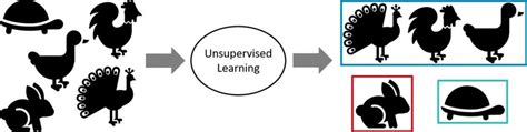 R Unsupervised Learning Example 的图像结果