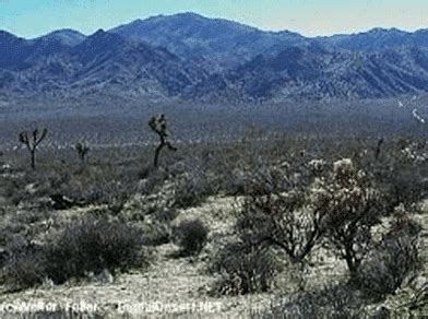 Aeolian Landforms - Geography for UPSC CSE PDF Download