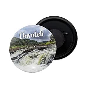 Buy dhcrafts Fridge Magnet Multicolor Dandeli Karnataka Glossy Finish ...