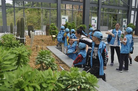 百余种珍稀濒危植物集中亮相 上海植物园迁地保护成果展示开幕
