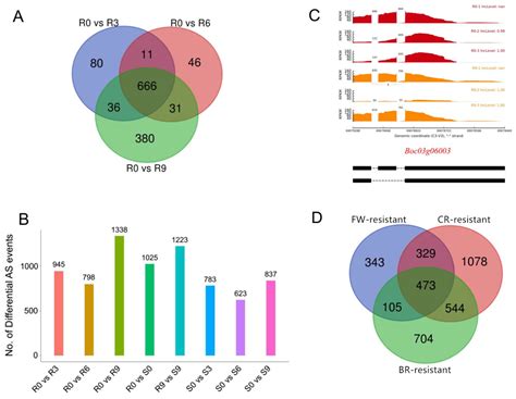 Global Survey of the Full-Length Cabbage Transcriptome (Brassica ...