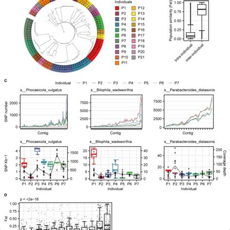 Genome Variation 的图像结果