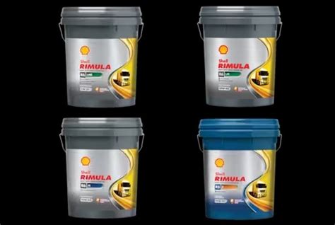 Image result for Aztec Shell Rimula