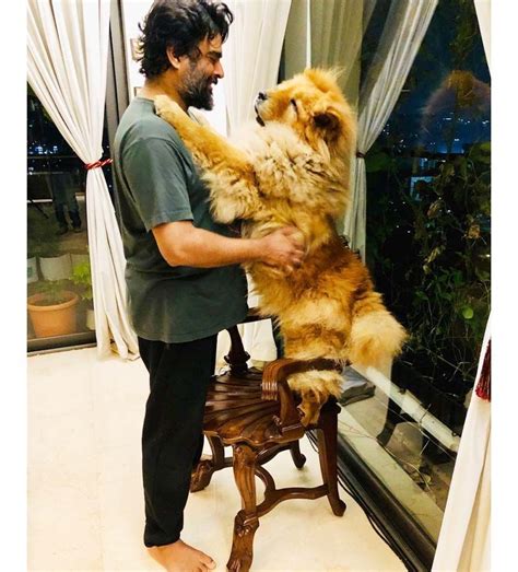20 inside pictures & videos of R. Madhavan’s luxurious home in Mumbai ...