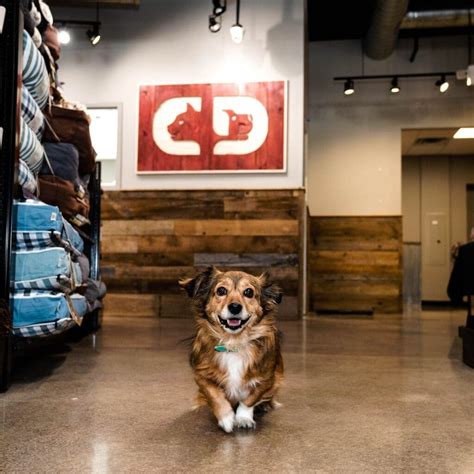 Neighborhood - Wren on the Creek