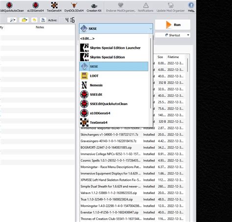 Image result for Skse Setup Tutorial