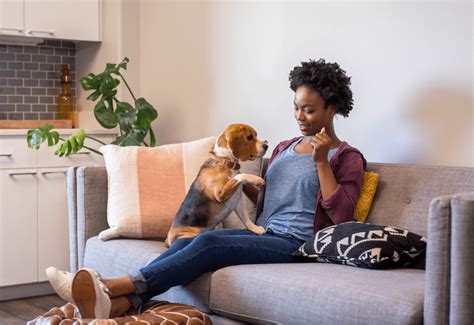 Image result for Certainly Insurance