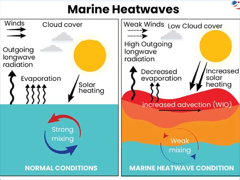 Tropical Cyclones over Oceans Experiencing Marine Heatwaves far more ...