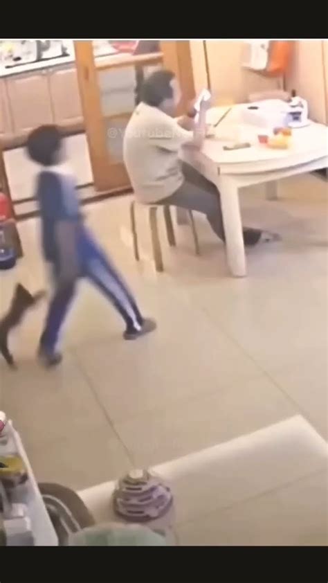 Image result for Most Viewed Fails