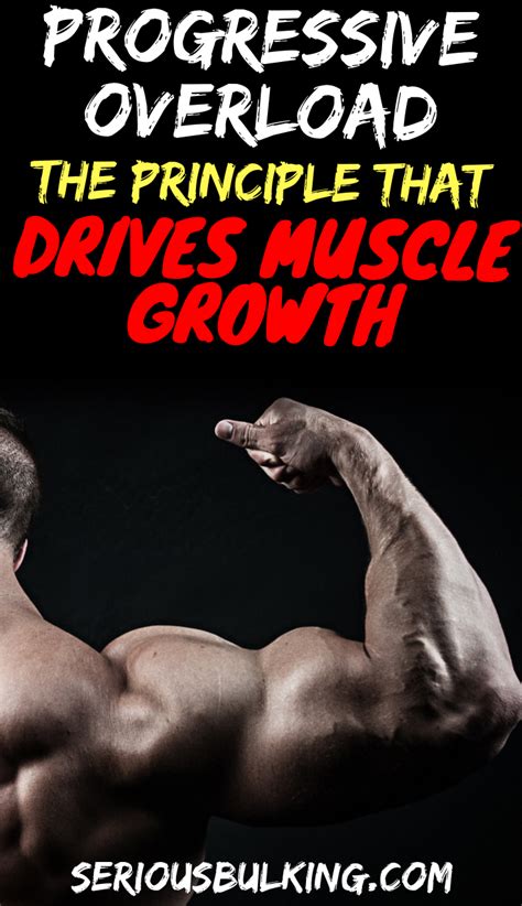 Image result for Different Types of Progressive Overload