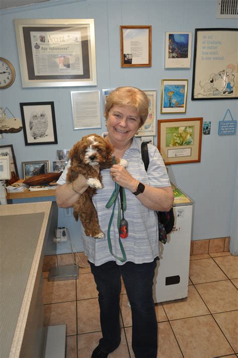 Finnegan! – Morris Hills Veterinary Clinic