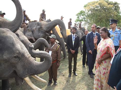 President Murmu inaugurates Gaj Utsav at Assam's Kaziranga National Park