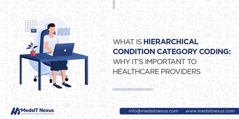 Hierarchical Coding System 的图像结果