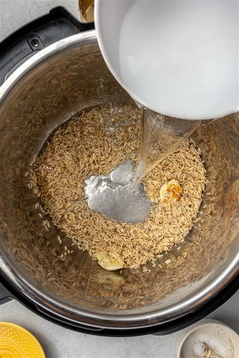 Instant Pot Brown Rice - Eating Healthy Blog