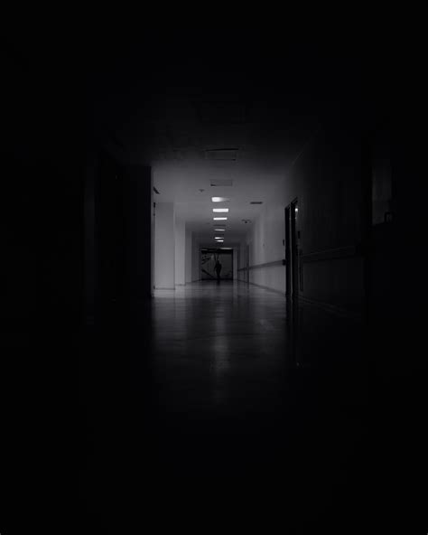 Brandon Almanza (@brandon_almanza_) • Instagram photos and videos