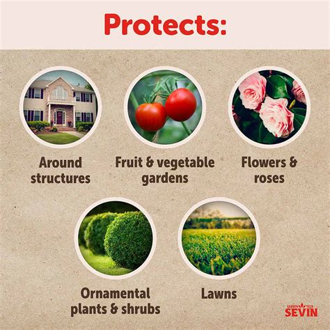 Image result for Using Sevin Dust