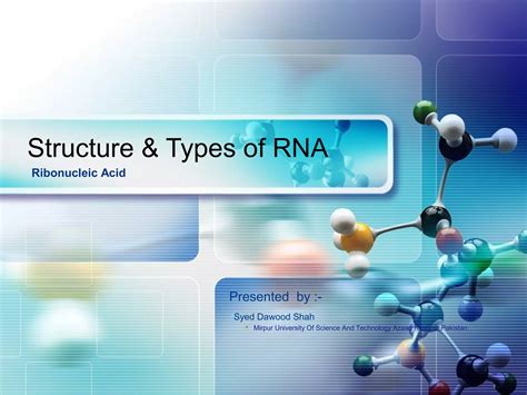 RNA Types 的图像结果