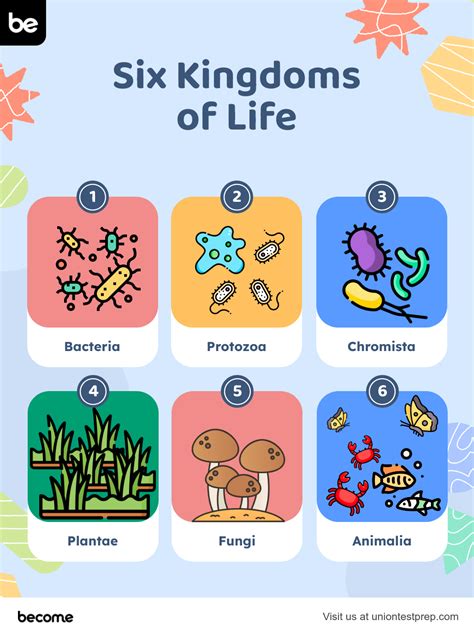 Biology Study Guide for the HESI Exam | Page 1