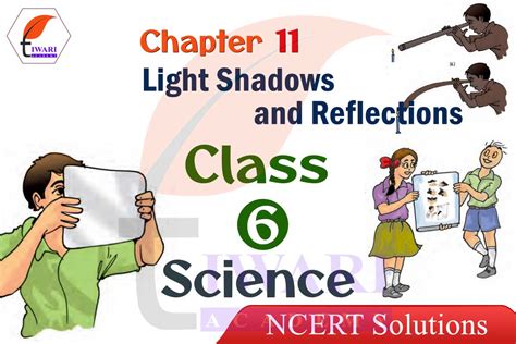 Class 6 Science Lesson 11 的图像结果
