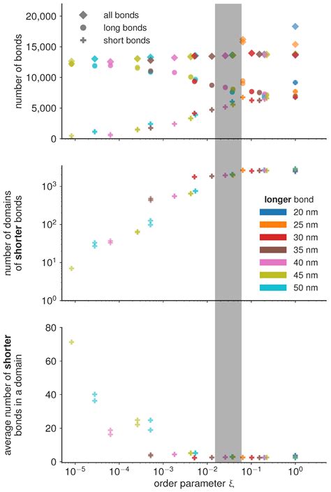Molecular Biomechanics Controls Protein Mixing and Segregation in ...