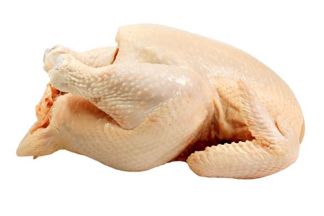 Image result for Hen Design Algorithm