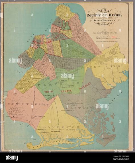 Map of the county of Kings, showing the Senate districts, October 1869 ...