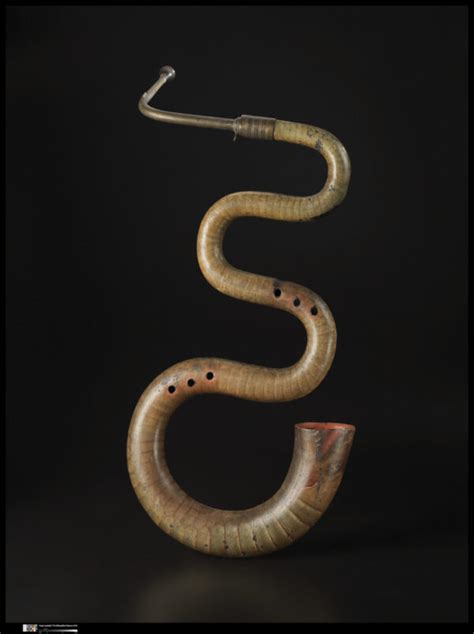 Image result for Serpent Musical Instrument