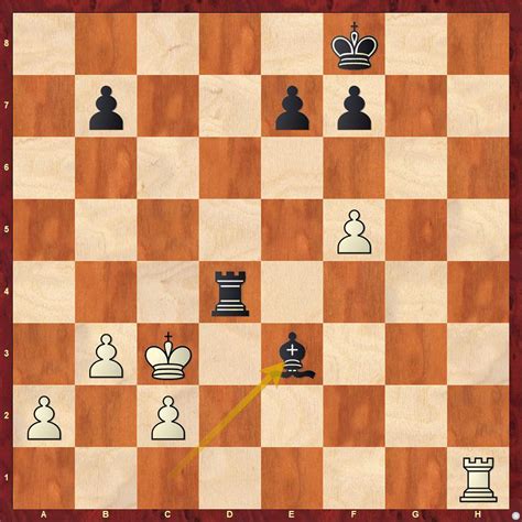 India's hunt for medals at World Cadets 2019 begins! - ChessBase India