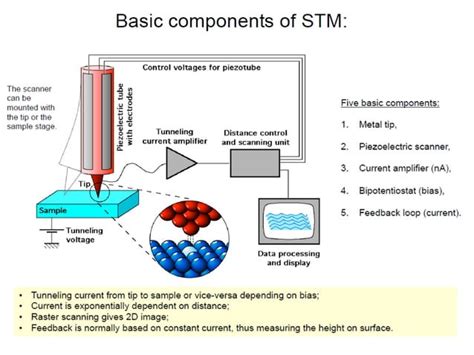 Image result for Scanning Probe Microscopy