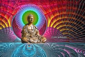 Gautama Buddha Religious Leader Matte Finish Poster Paper Print ...