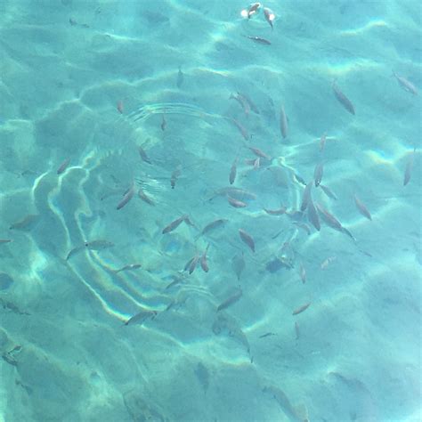 ASSOS YELKEN KAMP - Campground Reviews & Photos - Tripadvisor