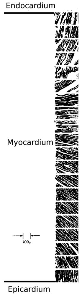 Hydrogels for Cardiac Tissue Engineering