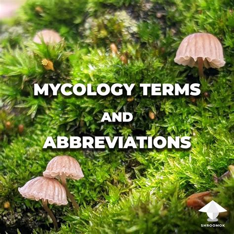 Mycology Glossary and common Mushroom Growing Abbreviations