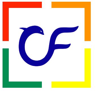 Coding First 的图像结果