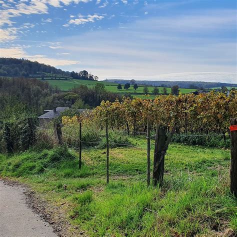 BRONNENWANDELING - All You Need to Know BEFORE You Go 2026 (with Photos ...