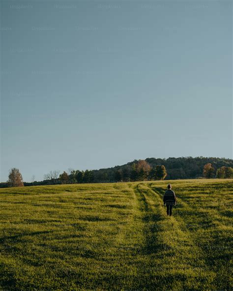 Open Field Building 的图像结果