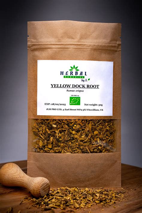 Yellow Root Plant For Sale Yellow Dock