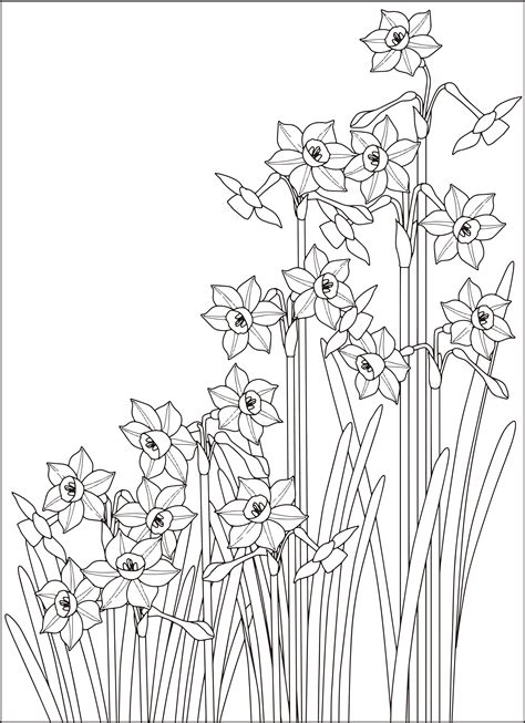 Image result for Data Visualization with Pythonn