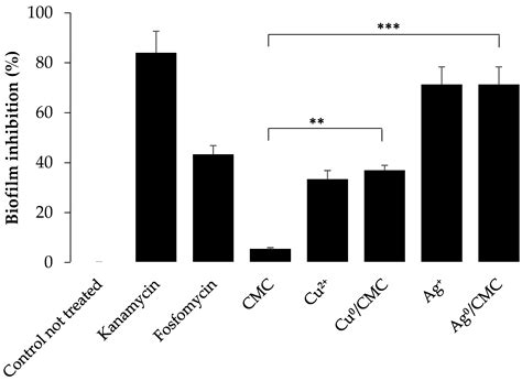 Silver and Copper Nanoparticles Hosted by Carboxymethyl Cellulose ...