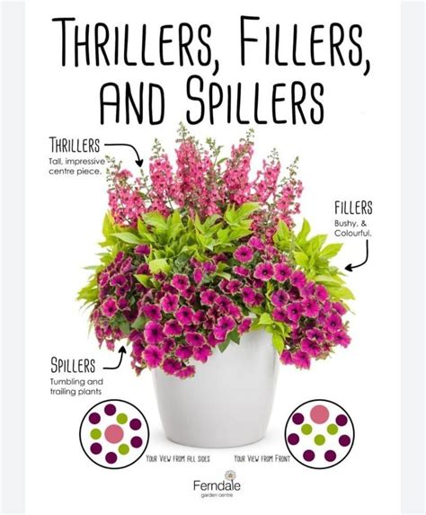 18 Shade-Loving Potted Plants to Illuminate Your Garden in 2025 ...