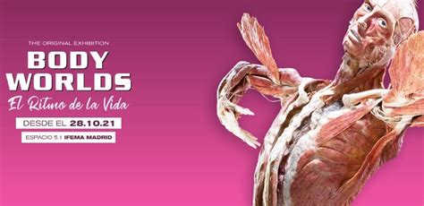 BODY WORLDS exhibition "The Rythm of Life" | Madrid (28.10.2021-17.4. ...