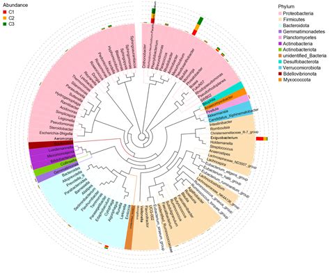 Screening of Bacteria Promoting Carbon Fixation in Chlorella vulgaris ...